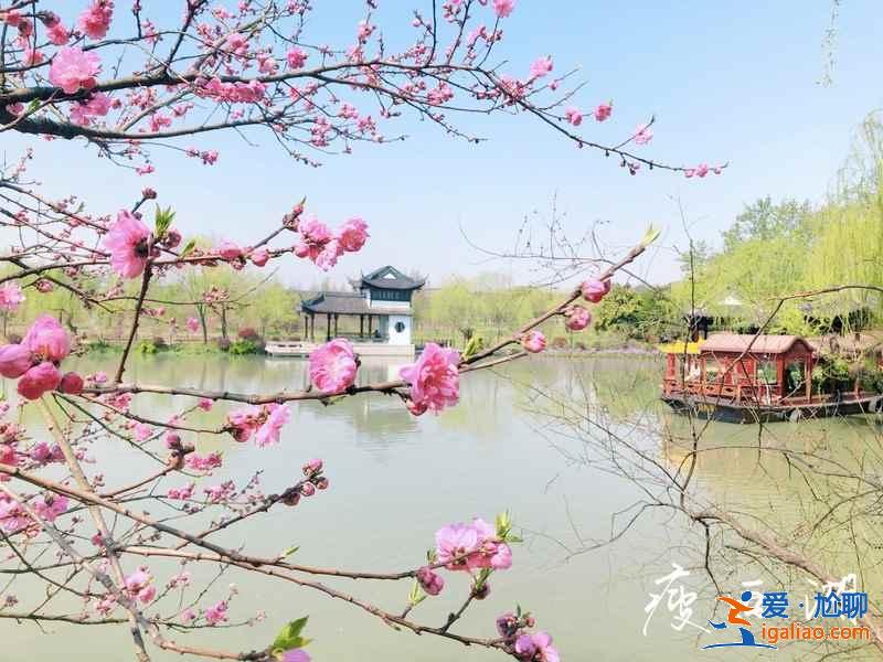 【揚州最佳旅游時間】幾月去揚州最好？