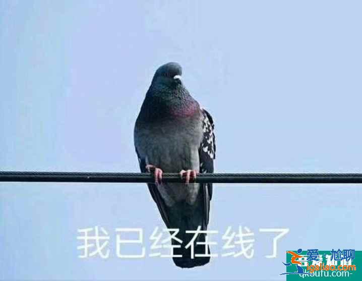 云頂之弈11.10版本最強(qiáng)陣容黑鳥天騎推薦，云頂11.10強(qiáng)勢陣容攻略？