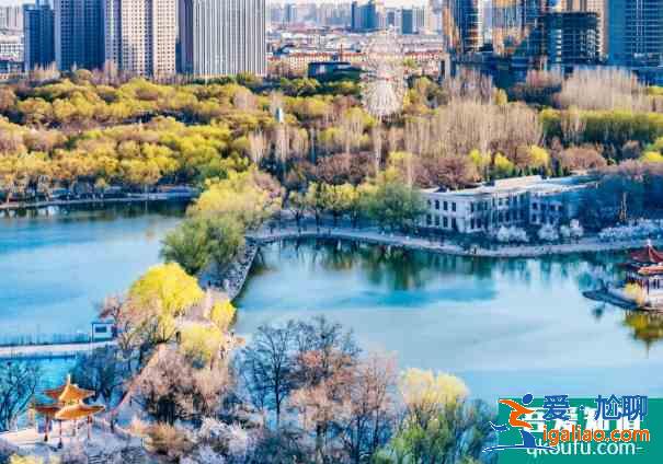2021烏素圖杏花開了嗎 呼和浩特花季文化旅游活動詳情？