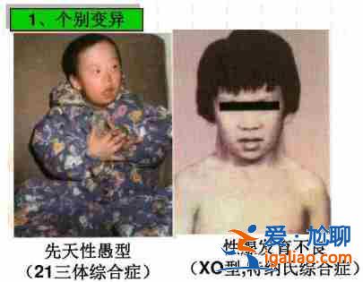 武漢助孕生兒子,還您一個完整而幸福的美滿家庭？