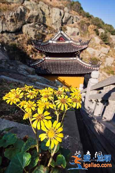 幾月去普陀山最好，普陀山最佳旅游時間？