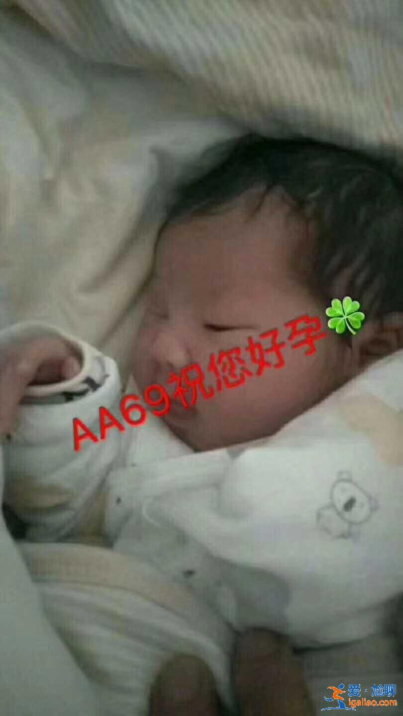 上海最大助孕公司_家長們應(yīng)該這樣選擇？