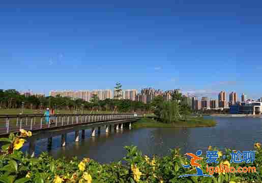可靠的代媽，愛心助孕流程示意圖？