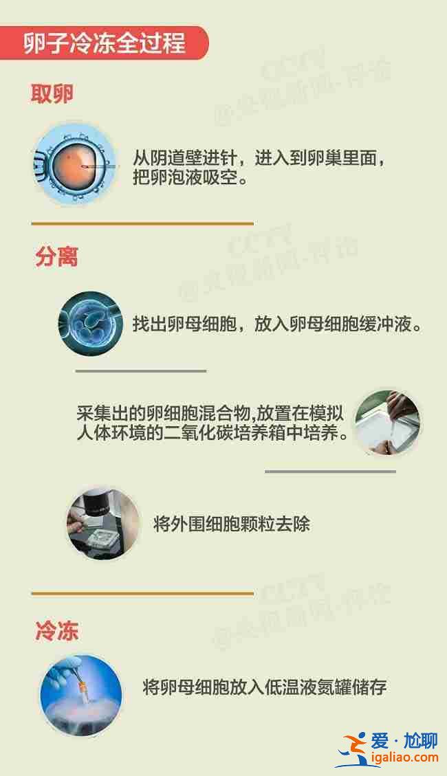 西寧代媽公司？