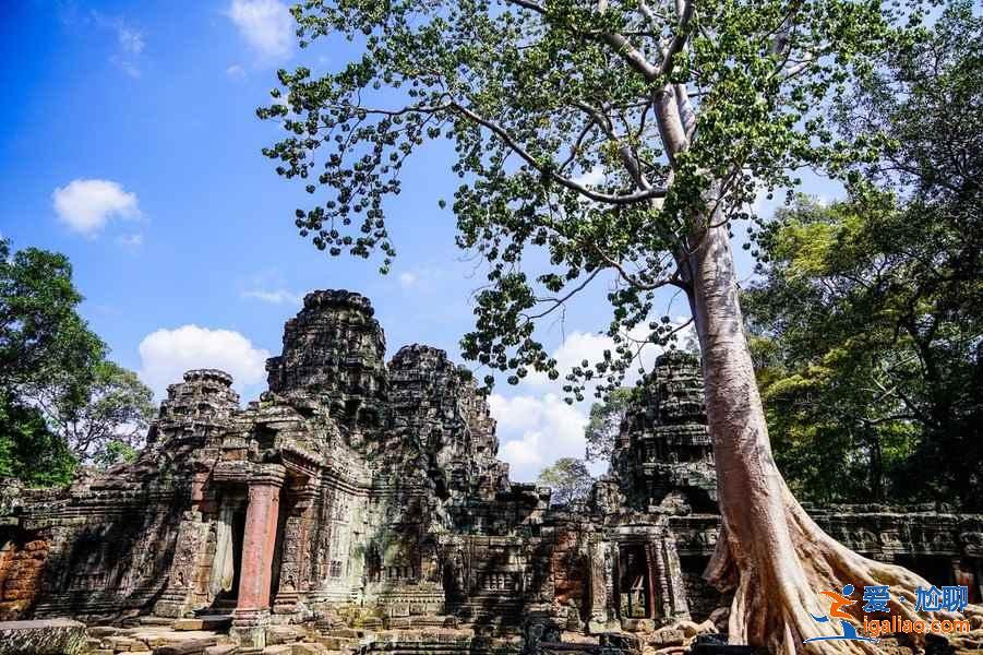 去柬埔寨旅游注意事項，柬埔寨旅游安全信息？