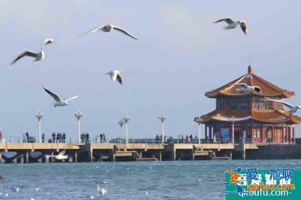 2021青島棧橋五一開放嗎？