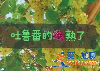 世界上距離城市最近的沙漠,就在新疆??? 世界上距離城市最近的沙漠,就在新疆!?
