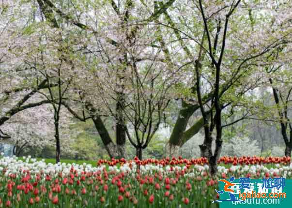 2021太原晉陽湖公園規(guī)劃及新增景點(diǎn)？
