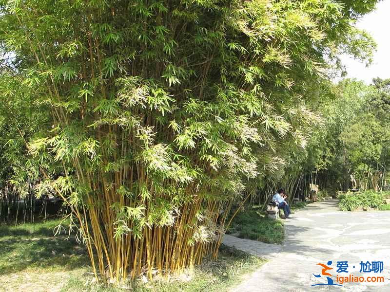 揚(yáng)州園林有哪些,揚(yáng)州園林哪個(gè)最好玩? 揚(yáng)州園林有哪些,揚(yáng)州園林哪個(gè)最好玩?