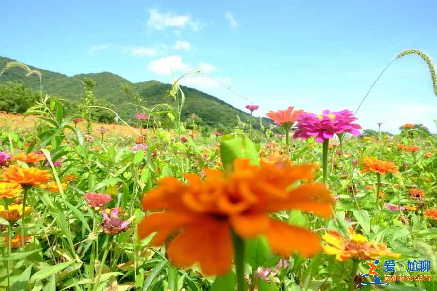 【門票】舟山桃花島門票多少錢，桃花島門票價格？