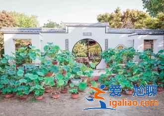 揚(yáng)州園林有哪些,揚(yáng)州園林哪個(gè)最好玩? 揚(yáng)州園林有哪些,揚(yáng)州園林哪個(gè)最好玩?