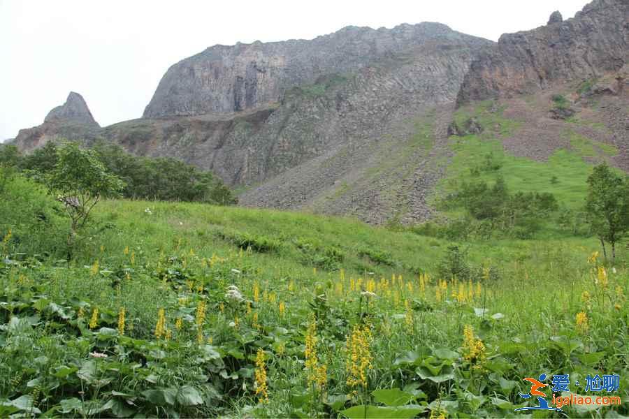長白山夏天好玩嗎,長白山夏天美嗎,夏季去長白山玩什么? 長白山夏天好玩嗎,長白山夏天美嗎,夏季去長白山玩什么?