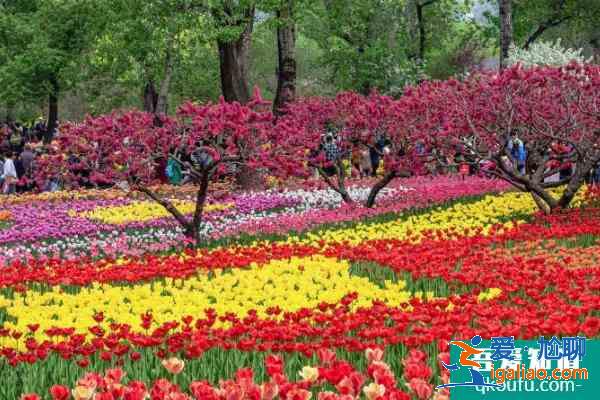 2021年4月16日漢中植物園開(kāi)園試運(yùn)營(yíng)？