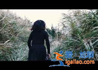 舟山好玩的景點(diǎn)有哪些,舟山哪里好玩,舟山旅游景點(diǎn)攻略? 舟山好玩的景點(diǎn)有哪些,舟山哪里好玩,舟山旅游景點(diǎn)攻略?