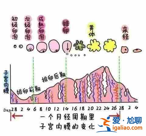 解讀包生男孩交流群[ 愛(ài)心助孕 ]？