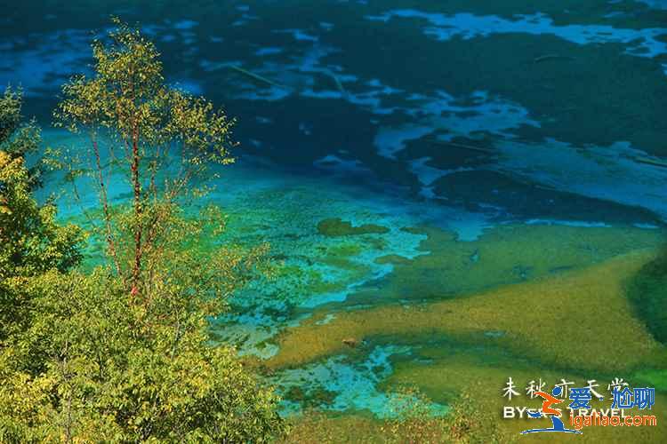 夏天去九寨溝注意事項，夏天去九寨溝安全嗎？
