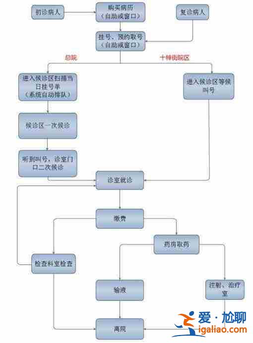 解讀個人試管代媽費用（高質量服務）？