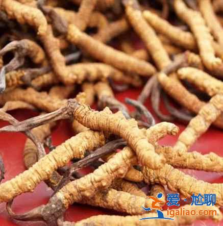 西藏有什么特產(chǎn)，西藏有哪些特產(chǎn)，西藏旅游買(mǎi)什么好？