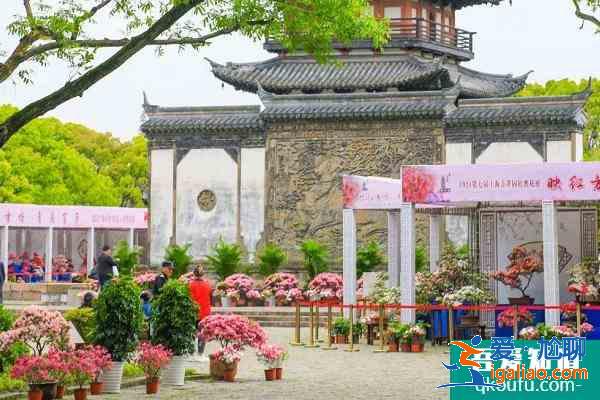 2021上海方塔園杜鵑花展時(shí)間？