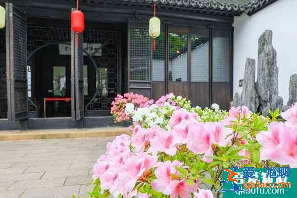 2021上海方塔園杜鵑花展時(shí)間？