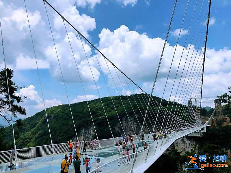 張家界玻璃橋蹦極，張家界現(xiàn)在可以蹦極了嗎，張家界大峽谷玻璃橋可以蹦極嗎？