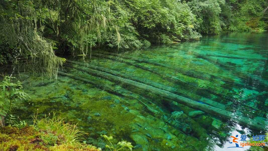 四川最美的溝，避暑就來這吧？