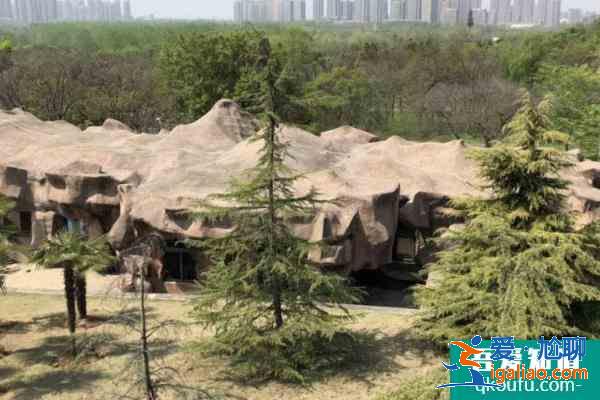 2021合肥野生動(dòng)物園門票多少一張？