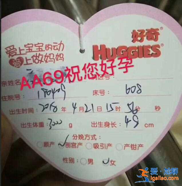 包生男孩指南[ 包成功包出生 ]？