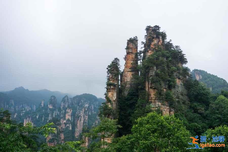 張家界有哪些影視取景地，張家界大片取景地，張家界阿凡達(dá)取景地？