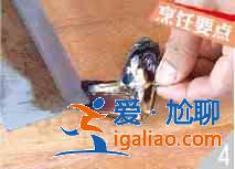 蘆筍炒海紅怎么做？？