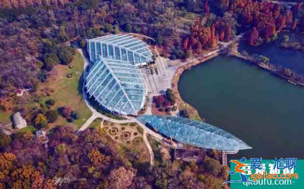 世界地球日南京中山植物園免費開放及預約指南 2021南京中山植物園免費開放時間？