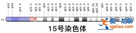 國內(nèi)包生男孩價(jià)格表？
