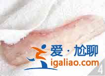 爆炒咸魚黃豆芽怎么做？？