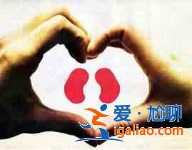 哪些食物有利于養(yǎng)腎？？