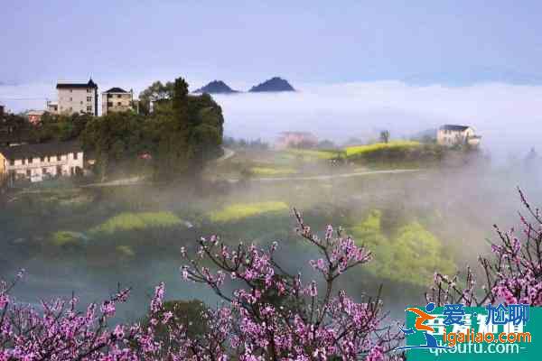 2021舟山桃花島門票多少錢一張 舟山桃花島幾月份去最好？