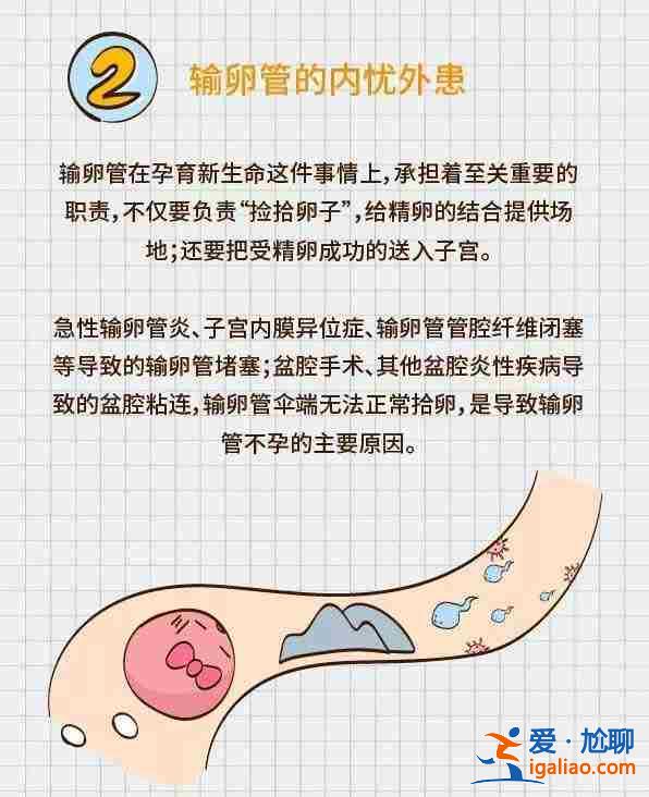 探索一下銀川有哪些助孕機(jī)構(gòu)【不成功全額退款】？
