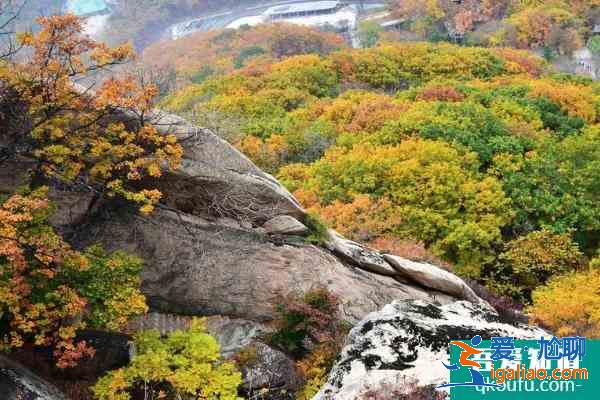 2021丹東鳳凰山門(mén)票多少錢(qián)一張 鳳凰山旅游攻略？