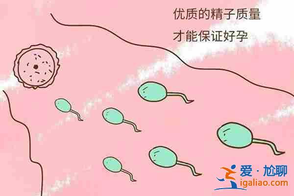 解說試管助孕費用多少（實力保障）？