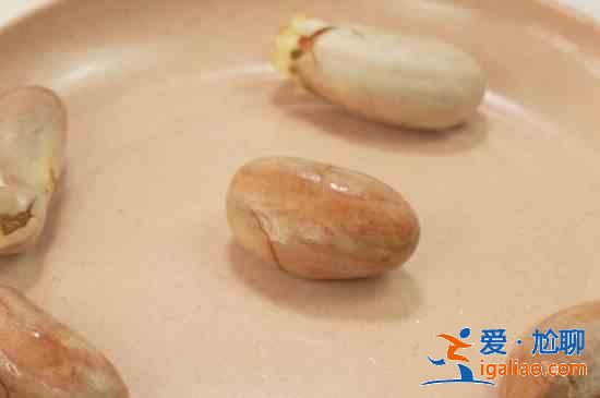 菠蘿蜜怎么吃？