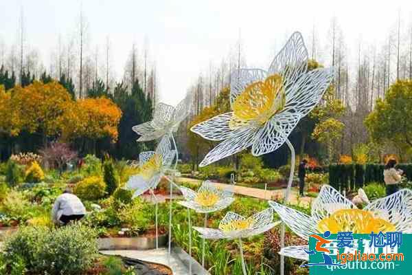 2021上海崇明賞花路線？