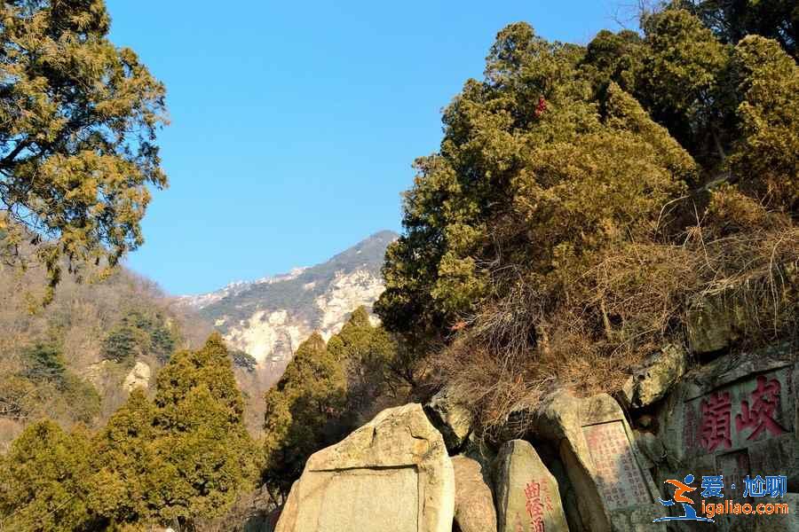 爬泰山住宿怎么選？為你支招！？