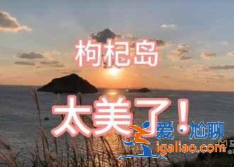 舟山到枸杞島要多久，舟山到枸杞島船票價格？