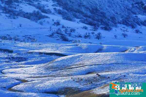 重慶哪里雪景最美 重慶冬天旅游好去處？