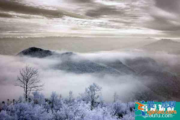 重慶哪里雪景最美 重慶冬天旅游好去處？