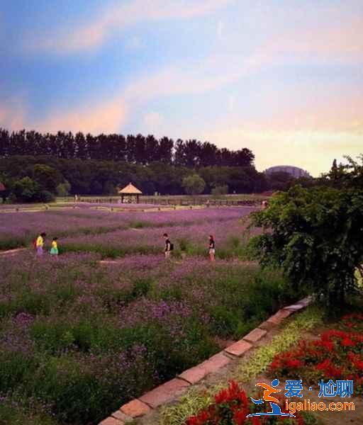 烏鎮(zhèn)有什么人少又好玩的景點,烏鎮(zhèn)小眾景點攻略? 烏鎮(zhèn)有什么人少又好玩的景點,烏鎮(zhèn)小眾景點攻略?