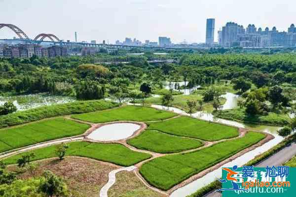 2021海珠濕地公園門票預(yù)約 海珠濕地公園怎么去？