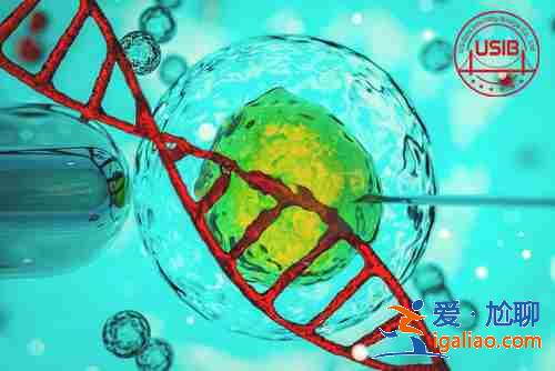 哈爾濱哪里需要代媽,根據(jù)各方面情況制定方案？