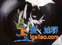 金針菇炒雞絲怎么做？？