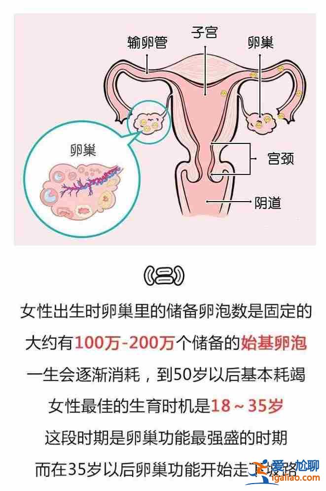 代生孩子補(bǔ)償_實(shí)現(xiàn)兒女雙全的助孕公司？