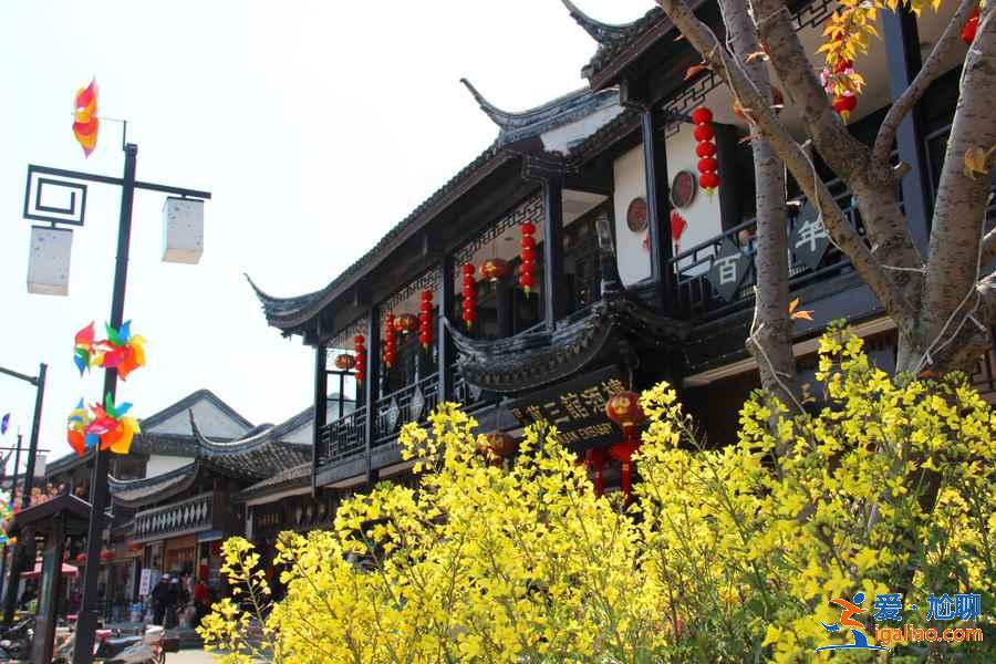 被驚嘆為“東方威尼斯”的蘇州,到底美在哪?? 被驚嘆為“東方威尼斯”的蘇州,到底美在哪??